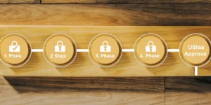 A graphic showing the 5 steps of the USDA loan approval status process.
